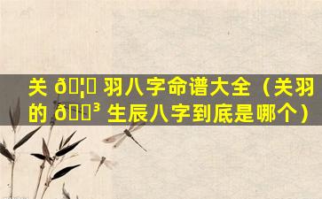 关 🦁 羽八字命谱大全（关羽的 🐳 生辰八字到底是哪个）
